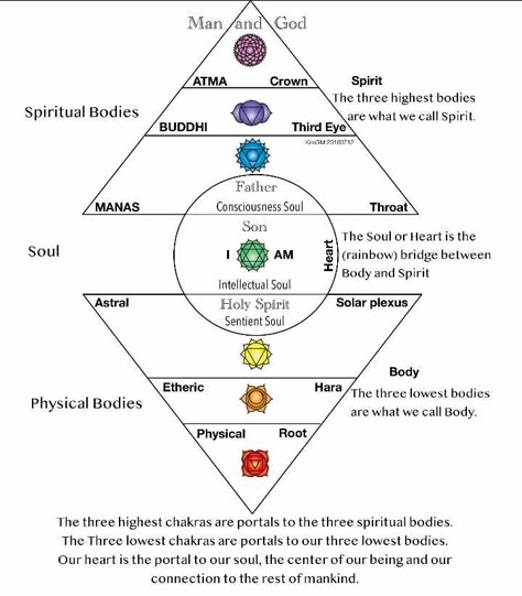 Hexagon In Nature, 9 Chakras, 6 Dimension, Kemetic Spirituality, Chakra Healing Meditation, Chakra Health, Metaphysical Spirituality, Spiritual Psychology, Sacred Science