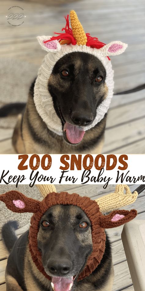 Zoo Snoods are knit snoods made especially for dogs. With many different styles to choose from in different sizes, your fur baby will stay warm in style. Snood For Dogs Free Pattern, Free Crochet Dog Snood Patterns, Crochet Patterns For Dog Hats, Dog Crochet Snood, Free Crochet Pattern For Dog Snood, Knitted Dog Hat Free Pattern, Free Crochet Pattern For Dogs, Dog Hats Crochet Free Pattern, Dog Hat Knitting Pattern