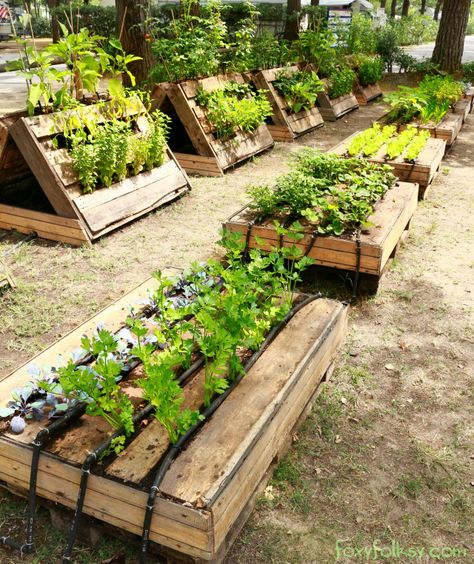 Potager Palettes, Raised Garden Bed Plans, Diy Garden Bed, Garden Boxes Raised, Building A Raised Garden, Diy Raised Garden, Raised Garden Beds Diy, Pallets Garden, Pallet Garden