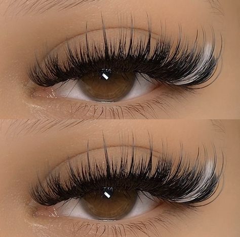 Hybrid Cat Eye Lash Extensions With Color, Lash Extensions With Color White, Eyelash Extensions Mapping Styles Volume, Eyelash Extension Colors, Classic Lashes With Color, Wispy Lashes With Color, Volume Vs Mega Volume Lashes, Cat Eye Lash Extensions With Color, Hybrid Lash Extensions Styles With Color