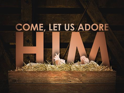 Image result for o come let us adore him, Christ the Lord sign Christmas Stage Decorations, Christmas Stage Design, Merry Christmas Jesus, Christmas Parade Floats, Ward Christmas Party, Christmas Eve Service, Church Christmas Decorations, Christmas Stage, Come Let Us Adore Him