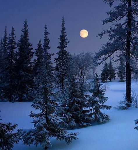 A winter full moon Futurisme Retro, Winter Moon, Winter Photos, Moon Photography, Winter Scenery, Winter Beauty, Beautiful Moon, Snow Scenes, Winter Pictures