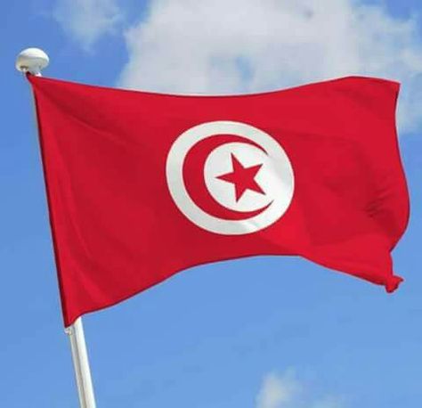 World Cup 2018, Tunisia, Canada Flag, World Cup, Country Flags, Flag, Quick Saves