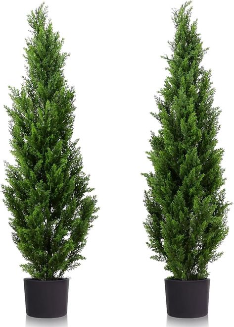 Artificial Trees Outdoor, Cedar Topiary, Pruning Plants, Plant Maintenance, Artificial Topiary, Seattle Homes, Outdoor Trees, Topiary Trees, Cedar Trees