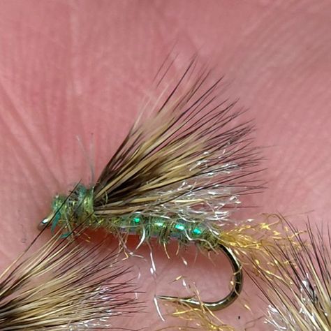 Peter Steen on Instagram: "Size 16 Improved X-caddis from @craigmathewsyellowstone with @blueribbonflies X-caddis deer hair. #flyfishing #flytying #atthevise #tyingflies #troutfishing #troutflies #dryfly #dryordie #caddis #caddisfaction #xcaddis" Caddis Flies, Fly Fishing Flies Trout, Trout Fishing, Fly Tying, Size 16, Fly Fishing, Deer, Hair, Instagram