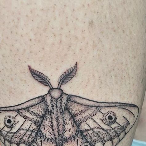 Hannah Adele Ellis on Instagram: "Another flash moth for another gorgeous human 💜 #mothtattoo #melbournetattoo #tattooflash" Moth With Eyes, Moth Eyes, Melbourne Tattoo, Eyes Tattoo, Moth Tattoo, Tattoo Apprentice, Eye Tattoo, Licorice, Flash Tattoo