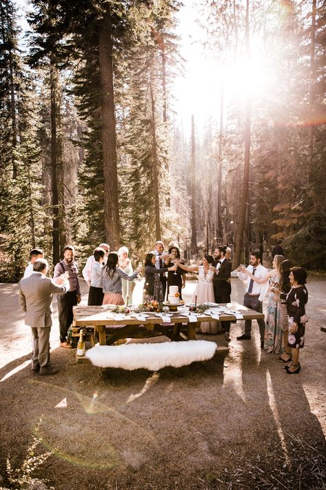 Mountain Elopement With Family, Elopement With Family Photography, Yosemite National Park Wedding, Family Elopement Wedding, Yosemite Picnic, Elopement Ideas With Family, Sequoia Wedding, Small Intimate Wedding Venues, Family Elopement