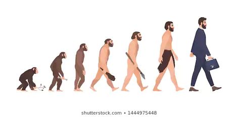 Human Evolution Stages Evolutionary Process Gradual Stock Illustration 1444975448 Darwin Evolution, Evolutionary Psychology, Evolution Art, Technology Life, Robot Illustration, Human Evolution, Social Selling, Charles Darwin, Human Species