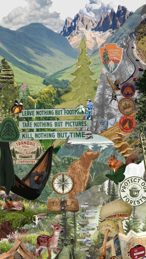 National Park Service Aesthetic collage background camping van life vibes inspiration nature mountains wildlife Granola Aesthetic Wallpaper, Aesthetic Collage Background, Service Aesthetic, Recital Poster, Camping Wallpaper, Aesthetic Camping, Mountain Aesthetic, Granola Girl Aesthetic, Mountains Aesthetic