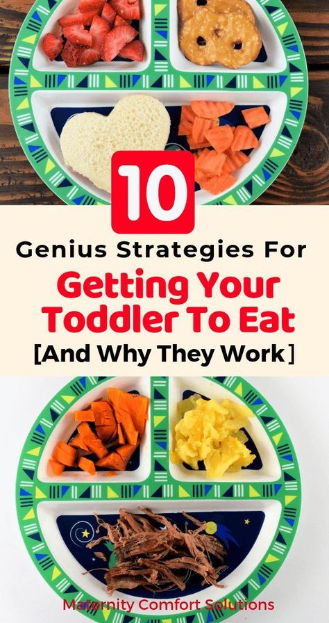 Meals For One Year Old Picky Eaters, 12 Month Old Picky Eater, Picky One Year Old Meals, Lunches For Picky Toddlers, Kids Foods For Picky Eaters, Healthy Food For Picky Toddlers, Easy Food For Picky Eaters, Food 12 Month Old, How To Get Picky Eaters To Eat Healthy