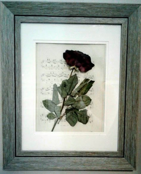 Dried Roses In Frame, Pressed Rose Art, Dried Rose Decoration, Dried Roses Ideas Diy, Pressed Roses Framed, Dried Roses Ideas, Framed Roses, Flower Wall Decor Diy, Pressed Roses