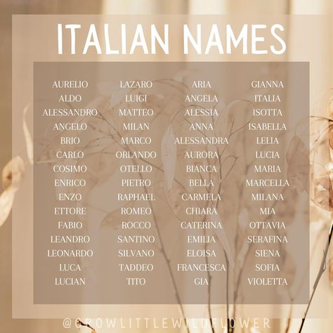 Michelle Casey ~ Name Consultant 🌻 (@growlittlewildflower) • Instagram photos and videos Italian Names, Japanese Names And Meanings, Strong Baby Names, Sweet Baby Names, Writing Inspiration Tips, Best Character Names, Fantasy Names, Writing Prompts For Writers, Aesthetic Names