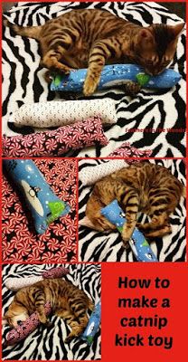 How to make a catnip kick toy for cats Diy Jouet Pour Chat, Grumpy Cats, Pet Crafts, Chat Diy, Cats Toys, Homemade Cat Toys, Diy Pet Toys, Diy Cat Toys, Cat Things