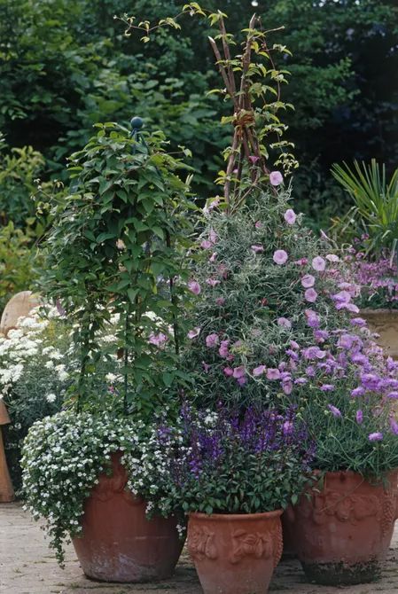 Container Garden, Gemüseanbau In Kübeln, Patio Pots, Garden Vines, Container Gardening Flowers, Garden Idea, Container Gardening Vegetables, Tomato Garden, Garden Containers