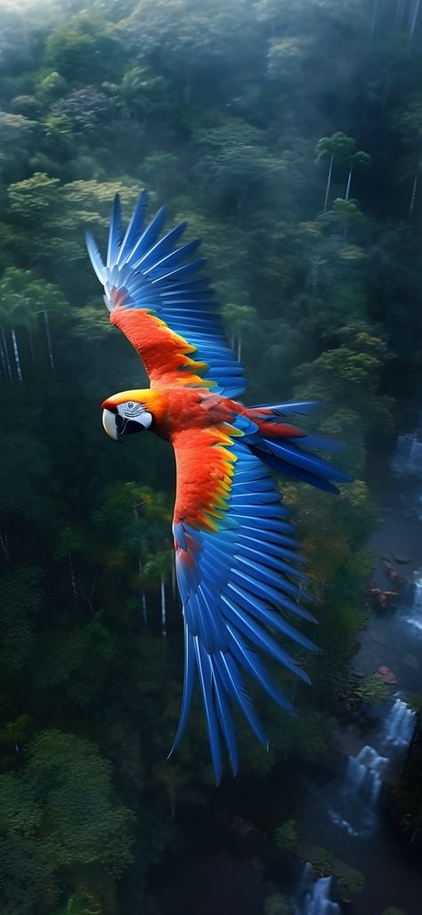 Macaw Tattoo, Air Birds, Parrots Art, Live Screen Wallpaper, Bird Gif, Flowers Photography Wallpaper, Art Gallery Wallpaper, Bird Wallpaper, Parrot Bird