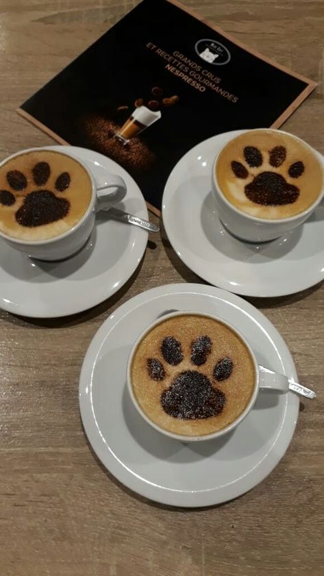 Cat Cafe Ideas, Cat Cafe Japan, Cat Cafe Aesthetic, Pet Cafe, Cafe Japan, Themed Cafes, Dog Cafe, Coffee Shop Aesthetic, Dog Bakery