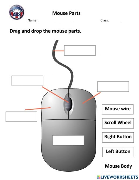 Computer Worksheet, Computer Activities For Kids, Computer Exam, Live Worksheet, Computer Science Lessons, Computer Teacher, Teaching Computers, Computer Lessons, Vowel Worksheets