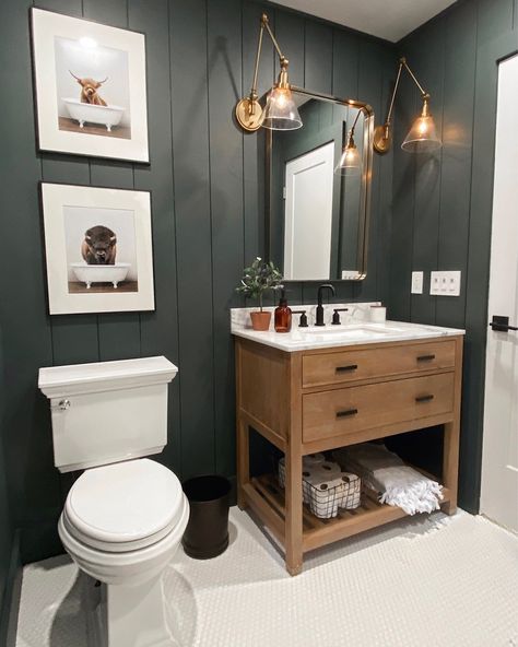 Dark Green Bathrooms, Mens Bathroom, Shiplap Bathroom, Dark Bathrooms, Home Office Inspiration, Hall Bathroom, Boys Bathroom, Downstairs Bathroom, Basement Bathroom