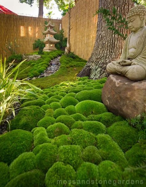 Zen Gardens, Japanese Gardens Design Ideas, Small Japanese Garden, Zen Garden Design, Moss Covered, Desain Lanskap, Asian Garden, Japanese Garden Design, Garden Wallpaper