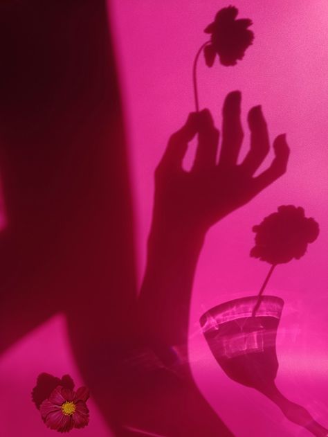 Magenta Flowers Aesthetic, Magenta Photoshoot, Magenta Widget, Fuschia Aesthetic, Sophia Aesthetic, Magenta Aesthetic, Oc Moodboard, Ep Cover, Light Shoot