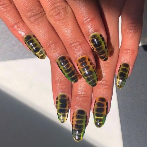 Snake Skin Nails Designs, Snake Skin Nails, New Nail Trends, Nail String Art, Nail Trend, Vintage Nails, Print Nails, Skin Nails, Nail Sets