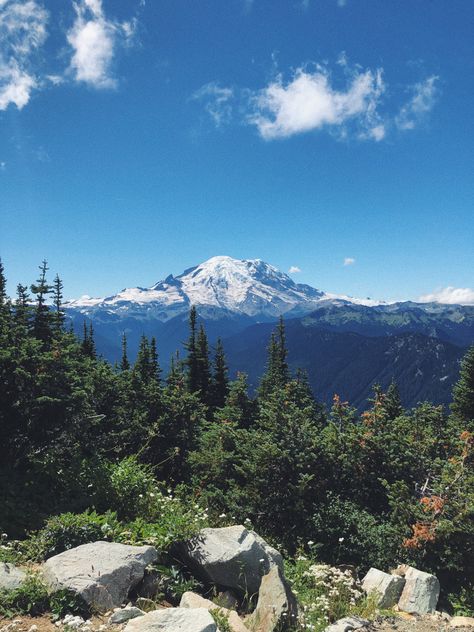 Pnw Hiking, Pnw Photography, Washington Summer, Washington State Summer, Seattle Summer, Pnw Summer, Pnw Summer Aesthetic, Hiking Seattle, Shoreline Washington