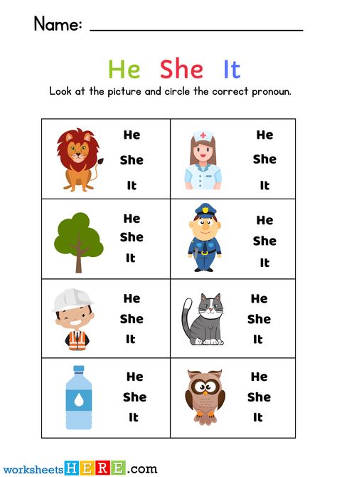 He She It Worksheet, Third Person Singular, Personal Pronouns Worksheets, Pronoun Activities, Subject Object, Object Pronouns, Personal Pronouns, The Third Person, Primary School