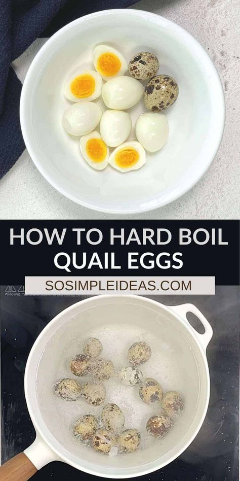 How To Boil Quail Eggs, Boiled Quail Eggs Recipe, Boiled Quail Eggs, Quail Egg Recipes Breakfast, Recipes Using Quail Eggs, Quail Deviled Eggs, How Long To Boil Quail Eggs, Quails Eggs Recipe, How To Cook Quail Eggs