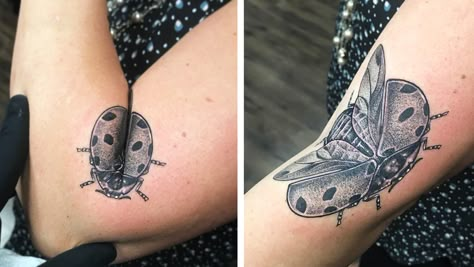 Elbow Insect Tattoo, Bug Elbow Tattoo, Elbow Bug Tattoo, Folding Arm Tattoo, Arm Fold Tattoo, Tattoo In The Arm, Folding Elbow Tattoo, Moving On Tattoos, Ladybug Tattoo