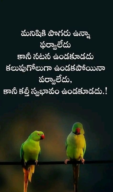 Quotes In Telugu Life, Kavithalu In Telugu, Telugu Questions, I Dont Care Quotes, Friendship Quotes Images, Telugu Inspirational Quotes, Happy Girl Quotes, Love Quotes For Girlfriend, Devotional Reading