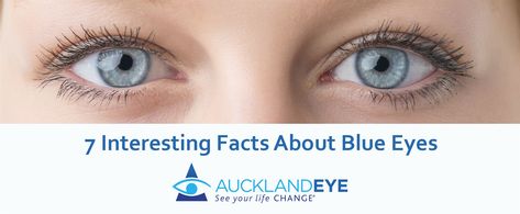 7 Interesting Facts About Blue Eyes Facts About Blue Eyes, Blue Eye Facts, People With Brown Eyes, Change Eye Color, People With Blue Eyes, Decorating Rooms, Egypt Pyramids, Eye Facts, Facts About People