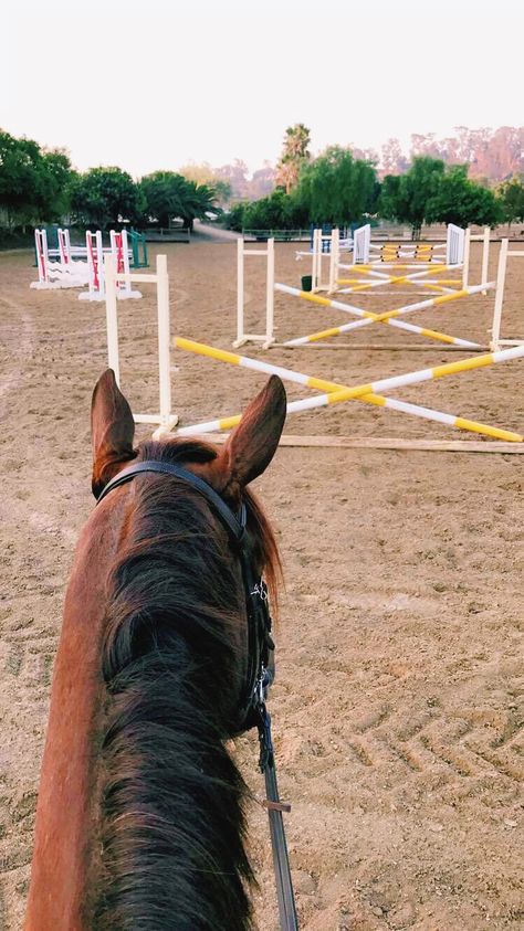 i'll just jump over these stupid fences then  to entertain them see that openingat the bottom well i'm out of here Horse Riding Aesthetic, Cute Horse Pictures, Equestrian Aesthetic, Horse Aesthetic, Horse Blankets, Horse Jumping, Horse Equestrian, Equestrian Life, Cute Horses