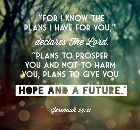 A Bible verse my Mom always says...Love it... Jer 29 11, Jeremiah 29, I Know The Plans, Favorite Bible Verses, Gods Plan, Inspirational Images, Verse Quotes, Bible Verses Quotes, Encouragement Quotes