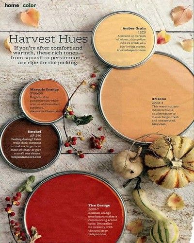 Paprika Paint Color, Colour Seeds, Orange Paint Colors, Rustic Paint, Persimmon Color, Peach Walls, Decor Color Schemes, House Color Palettes, Paint Color Schemes