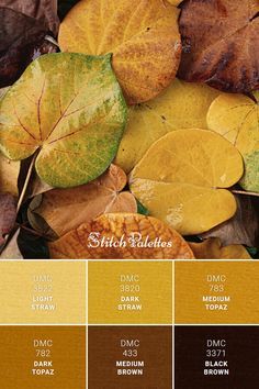 Paletas de colores on Pinterest Yellow And Brown Palette, Yellow Brown Palette, Yellow Brown Color Palette, Copper Colour Scheme, Stitch Palettes, Farmhouse Paint Colors, Color Palette Yellow, Brown Color Palette, Color Schemes Colour Palettes