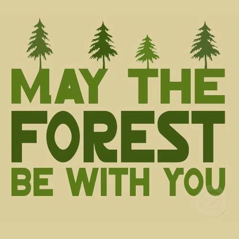 Funny Star Wars quote Mother Nature Quotes, Quotes Nature, Nature Life, Ideas Quotes, Ralph Waldo Emerson, Trendy Quotes, Nature Quotes, Go Camping, Happy Campers