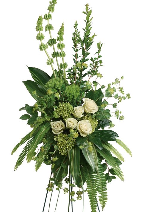 Our serene green and white display of elegant Roses and Hydrangea are accented with Bells of Ireland and beautiful greenery. This shape and texture of this natural and fresh design style is elegant and calming for the service of your loved one. A peaceful design that compliments a quiet moment.

*Wire stand included
 sympathy,natural funeral flowers, family flowers, white flowers, liles, mums, green flowers, carnations, roses, best flowers for funeral Spray Arrangement Funeral, Standing Funeral Sprays For Men, Male Funeral Arrangements, Irish Funeral Flowers, Flower Sprays Funeral, Masculine Funeral Flowers, Modern Funeral Flowers, Flowers For Funeral Memorial Services, Standing Spray Flowers Funeral