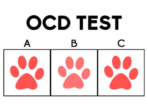 Pee Quiz, Eye Test Quiz, Ocd Test, Signs Of Ocd, Alzheimer's Activities, Eye Sight Test, Fun Online Quizzes, Eye Tricks, Healthy Book