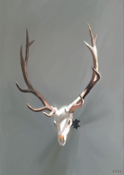 A digital painting of an elk skull with large antlers mounted on a gray wall lit by sunlight Reindeer Skull, Deer Skull Character, Skull With Antlers, Deer Skull Mask Character Art, Painted Elk Skull, Elk Skull, Black Hat, Antlers, Creature Design