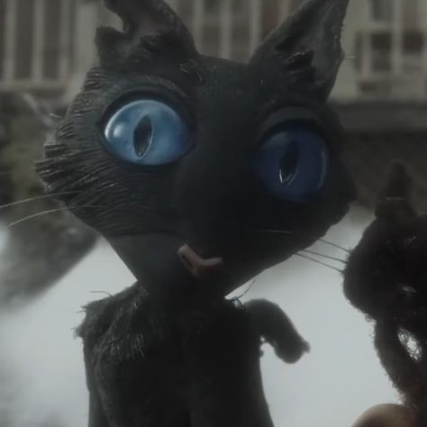 Coraline Cat Pfp, Coraline Cat Wallpaper, Coraline Photos, Halloween Profile Pics Aesthetic, Black Cat Blue Eyes, Tim Burton Pfp, Coraline Core, Coraline Cat, Coraline And Wybie