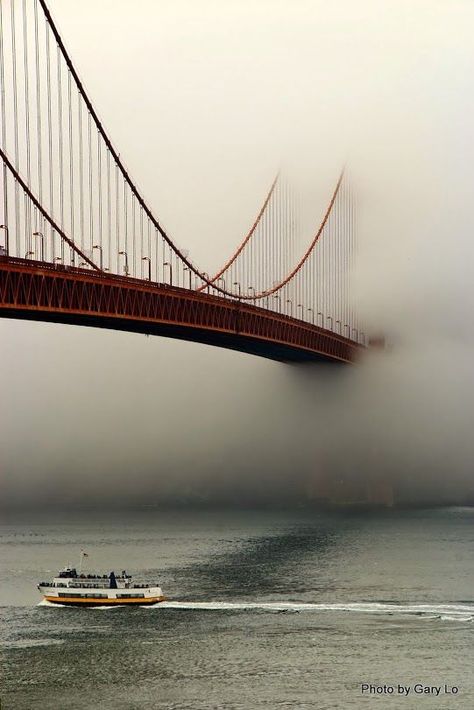 Foggy Day, The Golden Gate Bridge, A Bridge, Golden Gate, Golden Gate Bridge, Beautiful Photography, Beautiful World, Beautiful Landscapes, Wonders Of The World