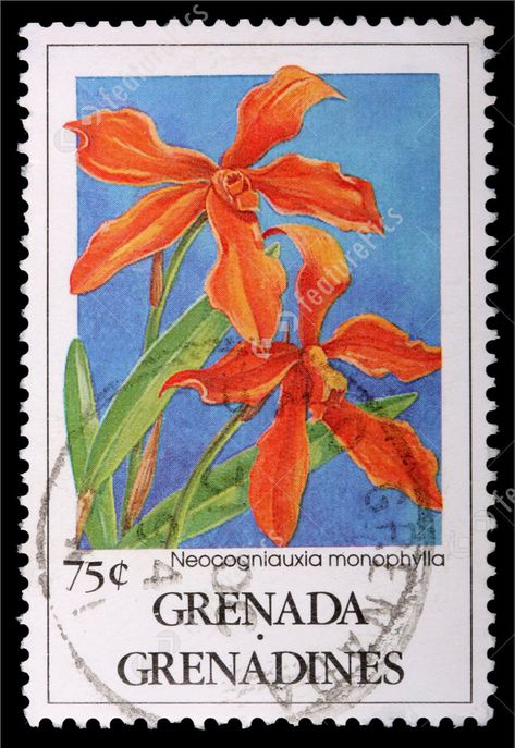 Grenada Island, Ny Nails, Island Tattoo, Stamp Tattoo, Fauna And Flora, Iphone Background Wallpaper, Small Island, Postage Stamp, Iphone Background