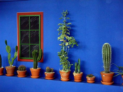 Cantando Victoria: Inspiración azul Green Exterior House Colors, Mexican Garden, Mexican Interiors, Mexican Colors, نباتات منزلية, Mexican Home Decor, Mexican Home, Mexican Decor, Mexican Designs