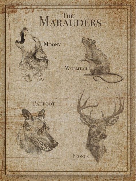 Marauders Wall Prints, Marauders Prints, Harry Potter Poster Vintage, Gryffindor Poster, Marauders Poster, Harry Potter Creatures, Poster Harry Potter, Harry Potter Wall, Harry Potter Poster