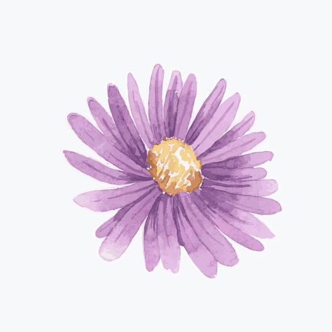 Watercolor purple daisy vector hand drawn sticker element | premium image by rawpixel.com / Niwat Asters Flower Drawing, Aster Flower Illustration, Purple Aster Tattoo, Aster Flower Aesthetic, Purple Daisy Tattoo, Purple Flowers Drawing, Aster Aesthetic, Aster Flower Drawing, Purple Flower Drawing