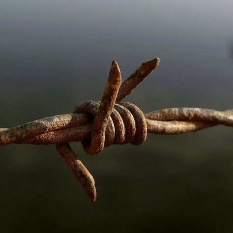 Rusty Aesthetic, Decay Photography, Gears Photography, Rusty Objects Photography, Rusty Door Aesthetic, Barbed Wire Art, Foto Macro, Clock Wallpaper, Object Photography