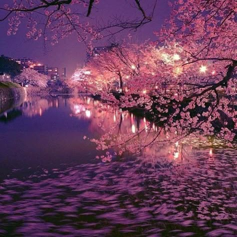 Barbie Mariposa Aesthetic, Barbie Aesthetics, Cherry Blossom Pictures, Beautiful Places In Japan, Cherry Blossom Japan, Japan Sakura, Sakura Tree, Hakone, Japan Aesthetic