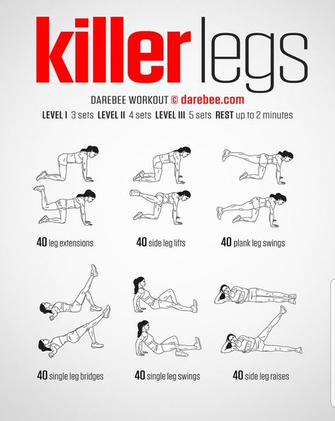 Killer Legs Workout, Best Leg Workouts, Darebee Workout, Stamina Workout, Gym Workout Planner, Fitness Plans, Leg Workouts, Gym Workout Chart, Toned Legs