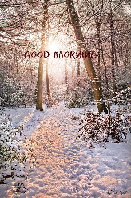 Winter Sunrise Mornings, Snowy Good Morning, Good Morning Cold Day Winter, Good Morning Snow, Winter Good Morning, Good Morning Winter Images, Beautiful Morning Pictures, Good Morning Animals, Good Morning Winter