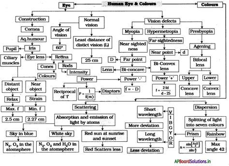 AP Board 10th Class Physical Science Notes Chapter 5 Human Eye and Colourful World – AP Board Solutions Human Eye And Colourful World Class 10, Physics Class 10 Notes Light, Human Eye And The Colourful World Notes, Light Class 10 Mind Map, Light Chapter Class 10 Notes, Class 10 Science Notes Physics Light, Human Eye Class 10 Notes, Human Eye Notes, Concept Map Science